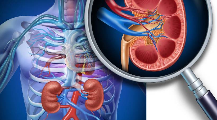 Top kidney Specialist Pune