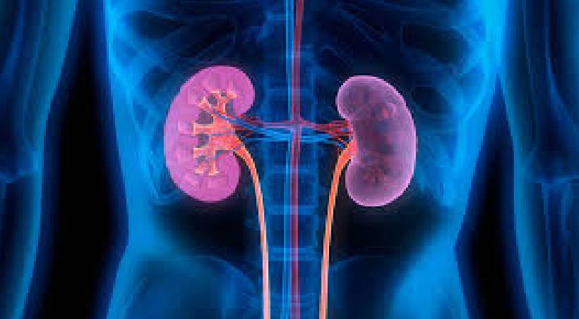 Kidney Transplant in Pune