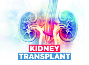 Kidney-Transplant