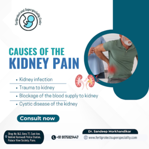 Understanding the Causes of Kidney Pain & Their treatment in Pune