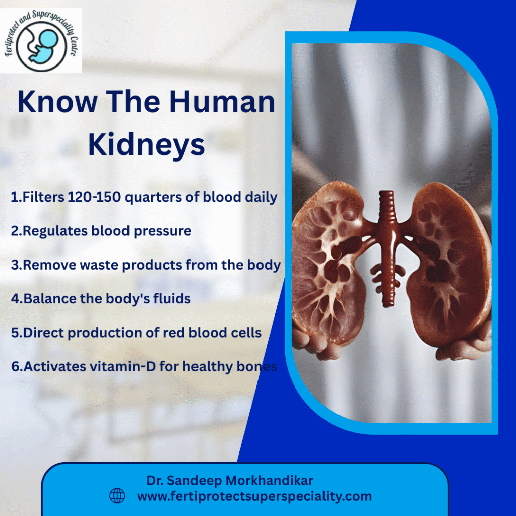Top Kidney Specialist Pune