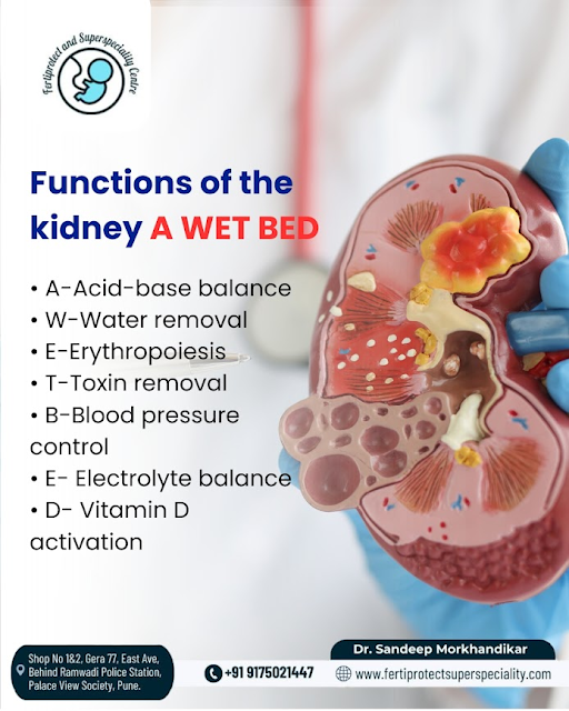 Functions of the Kidney Explained by Dr. Sandeep Morkhandikar