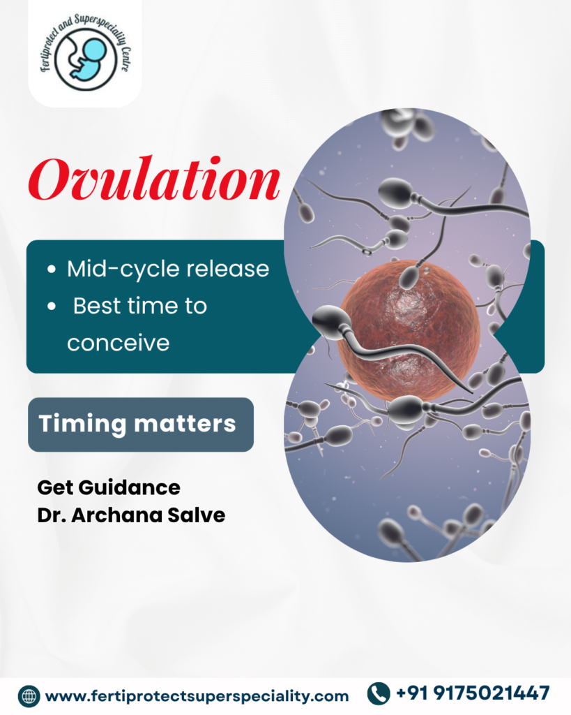 Ovulation awareness and fertility guidance by Dr. Archana Salve for pregnancy planning.