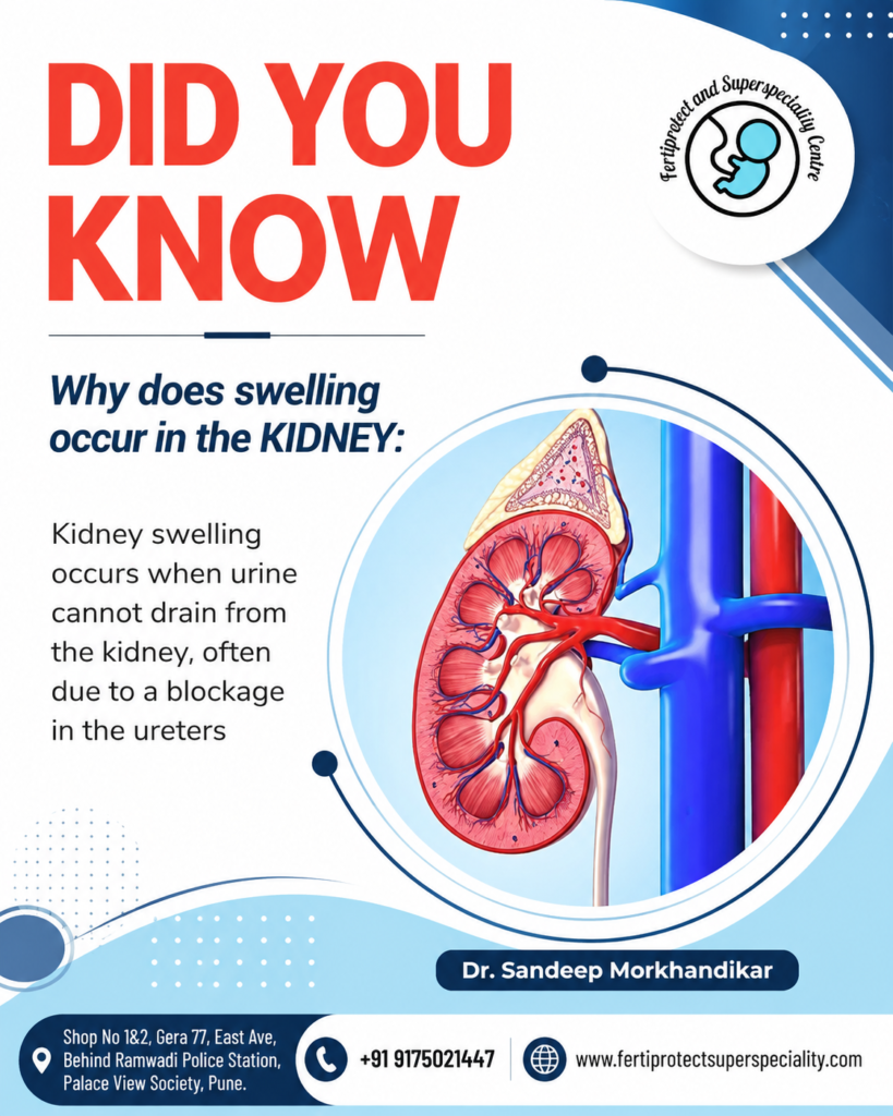Kidney health awareness poster explaining the causes of kidney swelling with a kidney illustration.